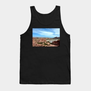 Argentine - Quebrada de las Conchas Tank Top